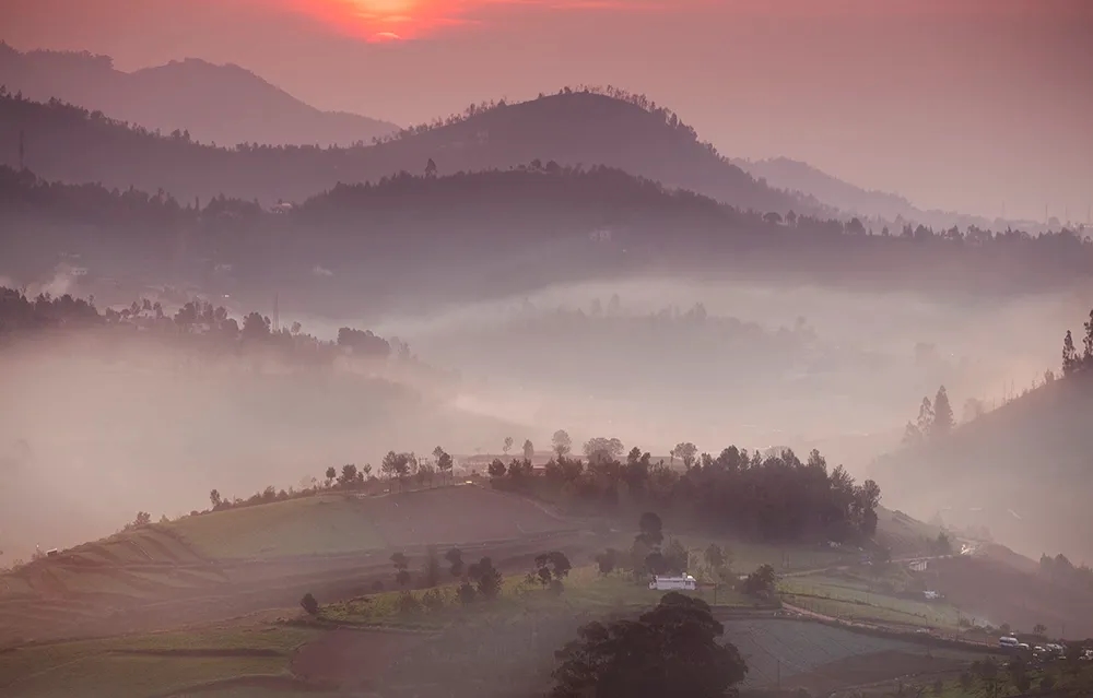 nilgiri-sunrise-img.webp