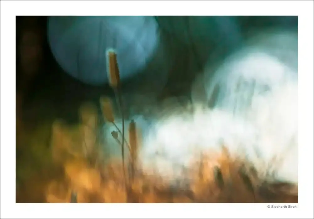 Identifying the Purpose of the Exhibition