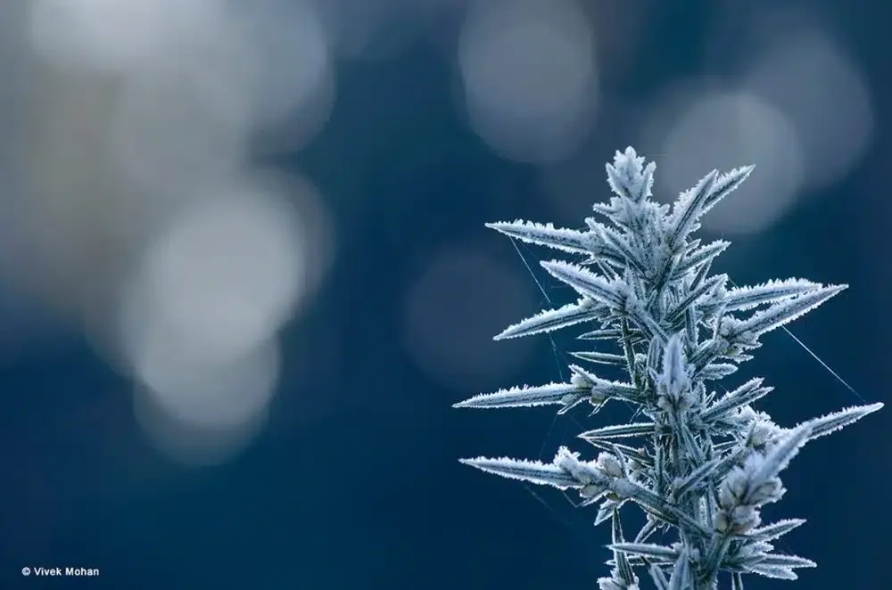 Specialised Photography and Beyond